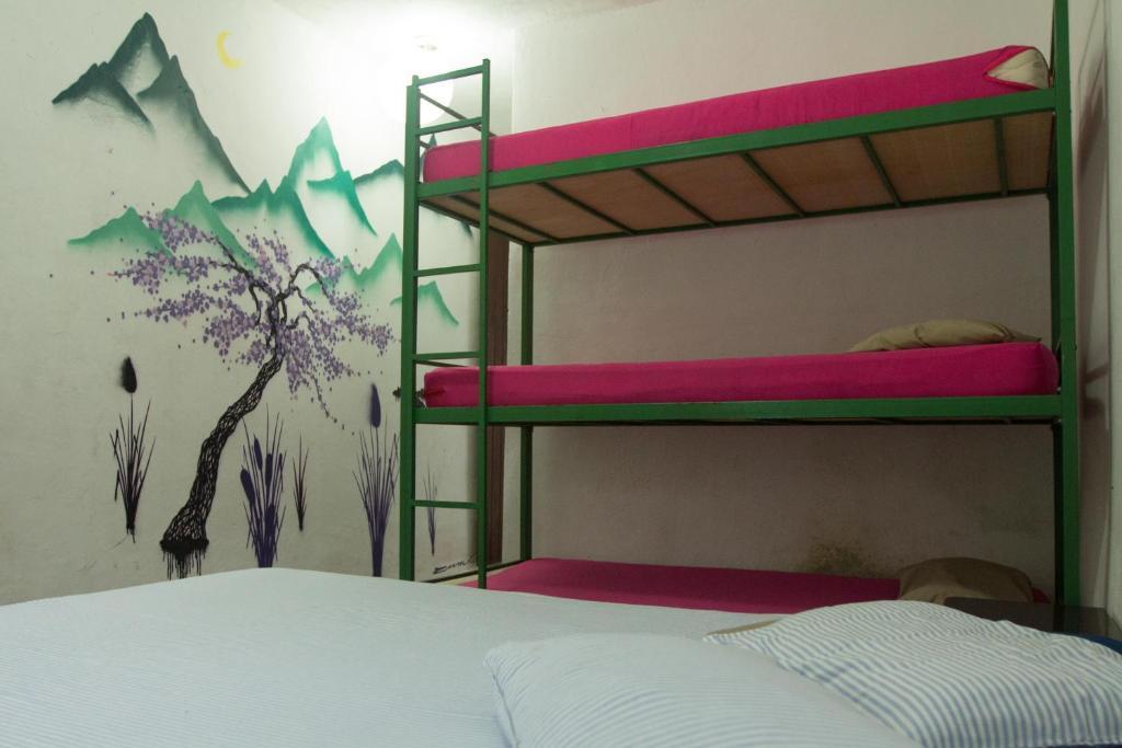El Misti Hostel Ilha Grande Ilha Grande  Extérieur photo